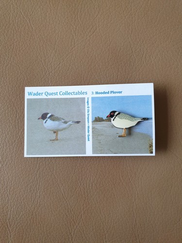 Wader quest collectables - quest,