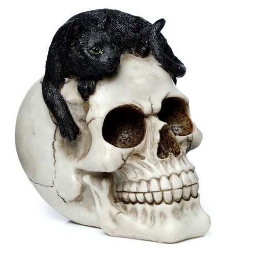 Skull with black - black, cat