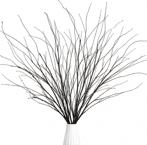 Rainflow curly willow branches - rainflow,