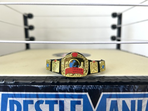 Wwe european championship belt - championship,
