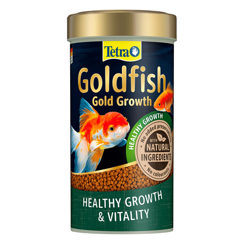 Tetra goldfish gold growth - gold,