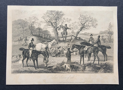 Antique 1845 print fox - antique,