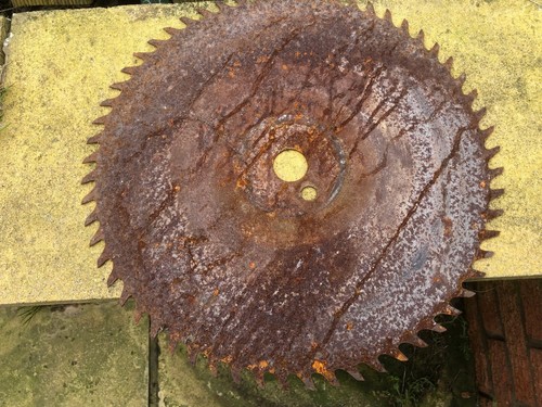 Vintage sawmill saw buzz - vintage,