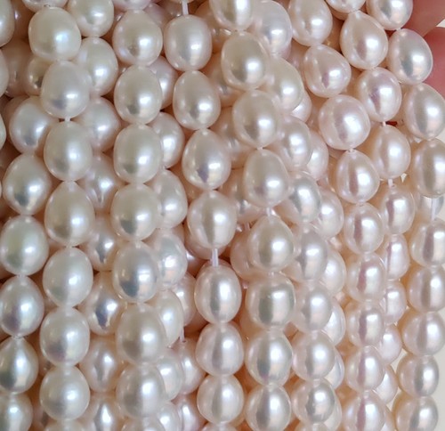 Freshwater pearls ivory white - pearls,