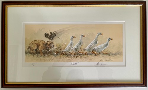 Duck mick cawston - duck,