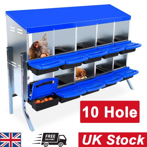 Chicken nesting box - chicken,