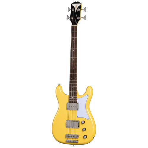 Epiphone newport bass guitar - newport,