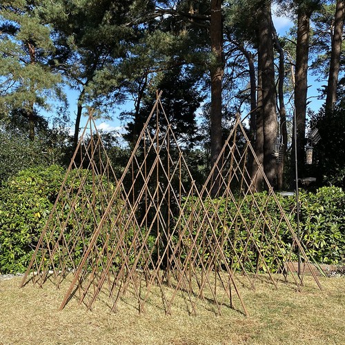 Willow garden obelisk - willow,