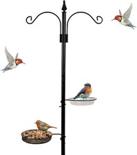 NEW TRADITIONAL BIRD FEEDING