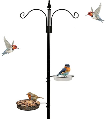 New traditional bird feeding - bird,