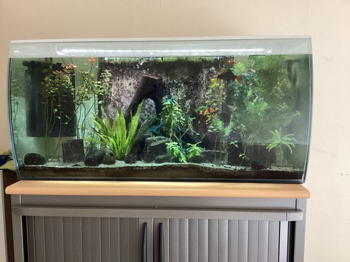 Fluval flex fish tank - flex,