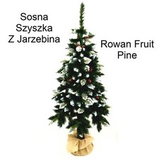 Mountain ash christmas - mountain,