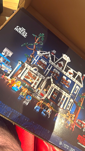 Lego stranger things - things, the