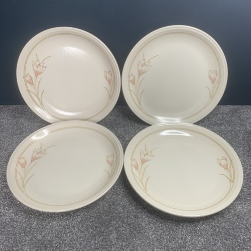 Vintage biltons dinner - vintage, plates