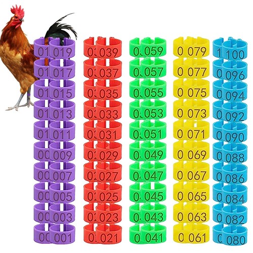 100pcs chicken leg rings - chicken,