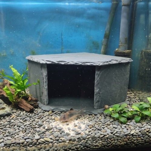 Large aquarium corner cave - corner,