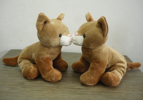 Adorable twin ginger kittens - adorable,