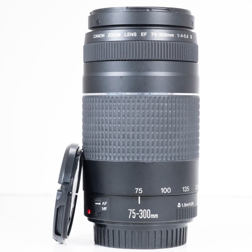 Canon 300mm 5 6 iii - f/4.0-5.6,
