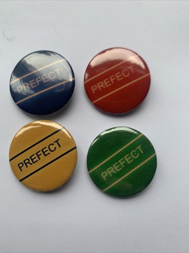 Prefect school pin - 4,