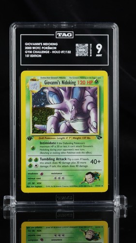 Giovanni nidoking tag - nidoking, 9