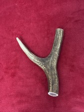 ONE PIECE OF DEER ANTLER, Y