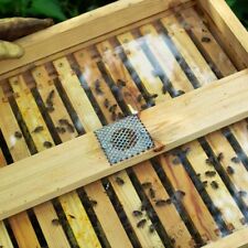 1 wbc Bee Hive See Through Crown board.