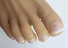 24X French Manicure False