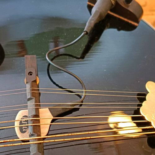 Knd mandolin bridge pickup - bridge,
