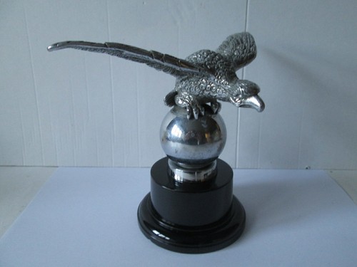 Large desmo eagle - eagle, on