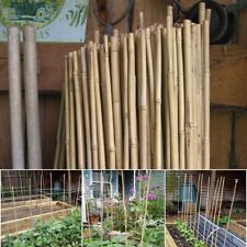 10 x 5FT 150 CM Bamboo Canes