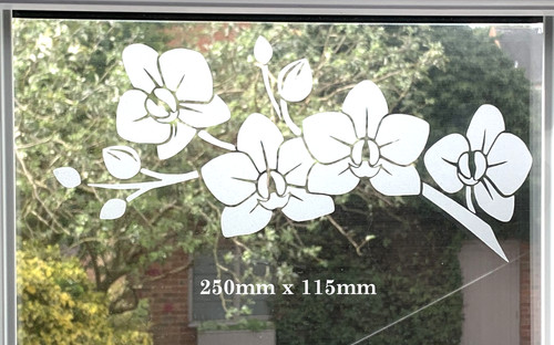 Etched glass vinyl - glass, orchid