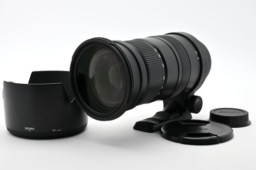 Exc sigma apo - apo, 50-500mm
