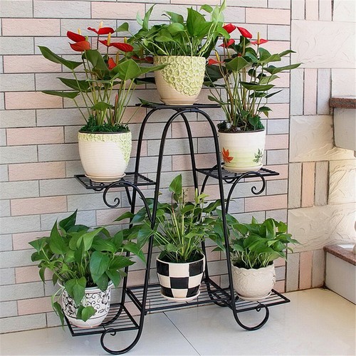 Tier herb plant - tier, stand