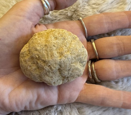 Whole unopened geode small - whole,