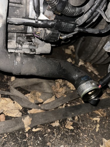 Intercooler turbo hose - turbo,