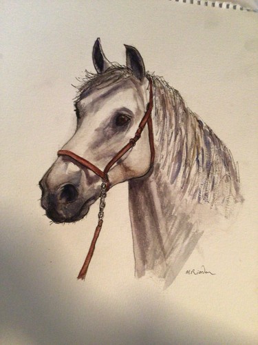 Horse head original - horse,