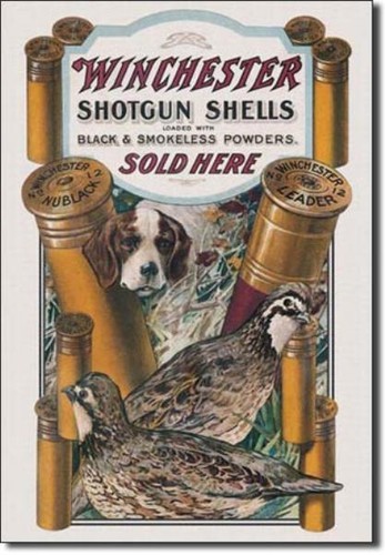 Shotgun rifle cartridge - shotgun/,