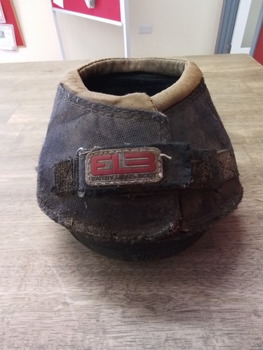 Black cavallo entry - entry, hoof