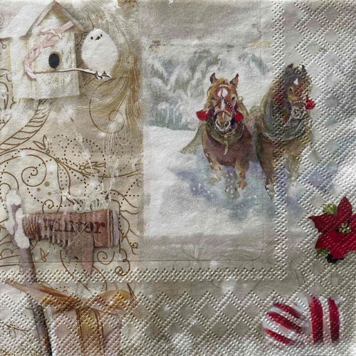Luncheon paper napkins - 2, for