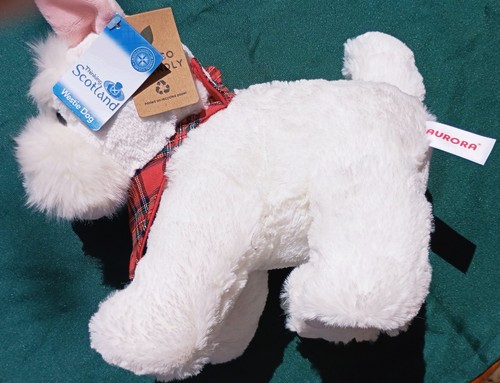 Aurora white westie - white, dog