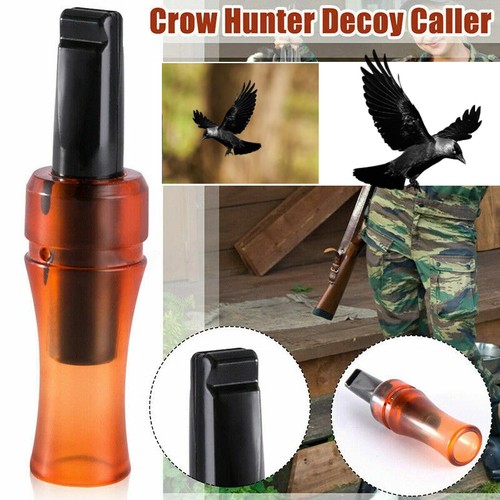 Outdoor crow rook call - crow,