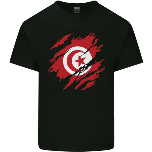 Torn tunisia flag tunisian - torn,