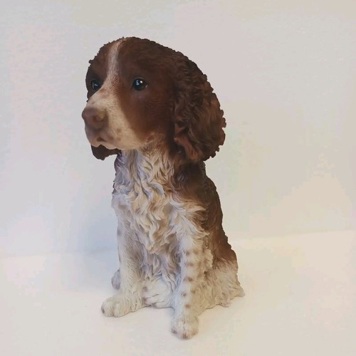 Vivid arts springer spaniel - arts,