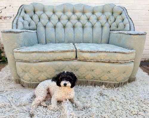 Vintage french style mid - vintage, french-style
