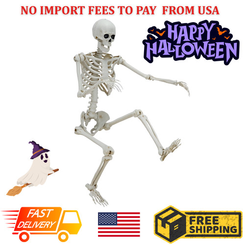 Hanging posable skeleton - hanging,