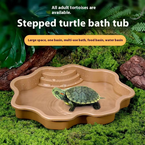Turtle bathing pool water - bathing,