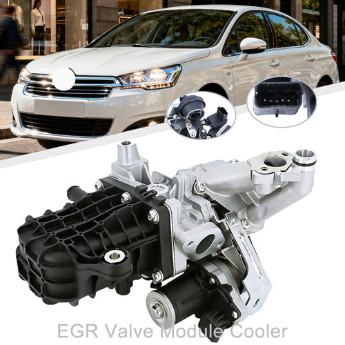 Egr valve module cooler - egr,