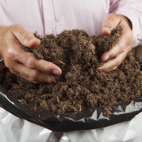 Professional compost - compost, (60+50)