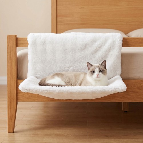 Cat dog radiator - cat,