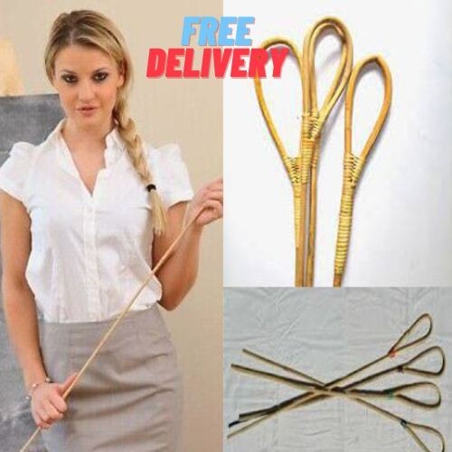 Cane sticks rattan scholastic - sticks,